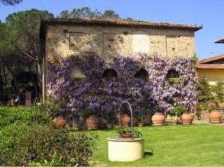 צ'רטאלדו Agriturismo Bio Fattoria Bacio מראה חיצוני תמונה